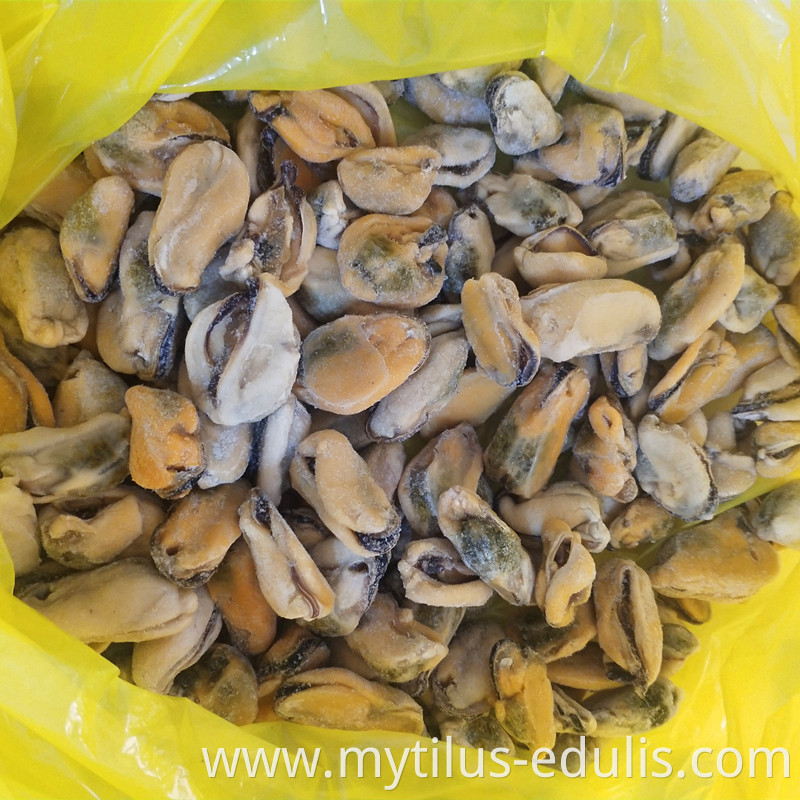 high quality frozen iqf tasty mussel meat